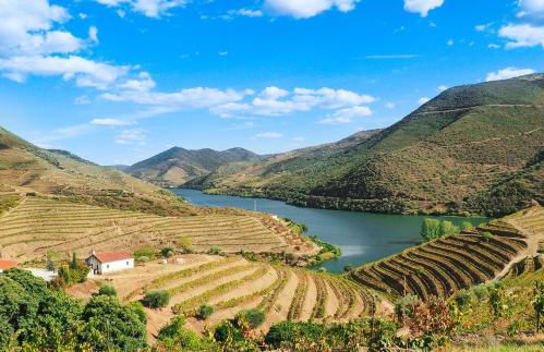 Quinta das Amendoeiras - Foto 56