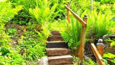 Ferienhaus zum Harzer Hirsch - Foto 3, Garden, Garden view