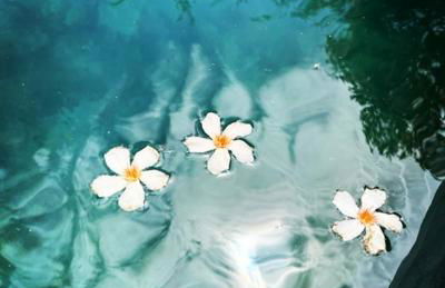 MAS DE VILLE AVEC PISCINE DANS SON COCON DE VERDURE - ESPRIT INDUSTRIEL - Foto 22