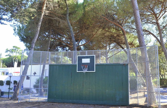 New Apartment in Baia Domzia Near the sea - Photo 28