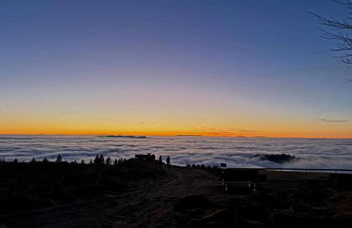 Ferienwohnung Panter- Traumaussicht im Schwarzwald - Foto 19