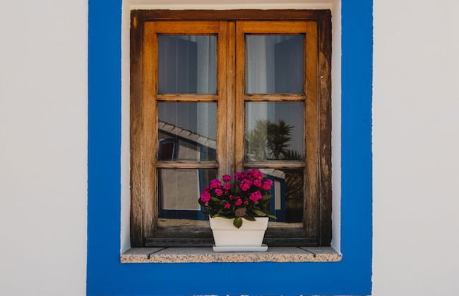 Herdade dos Mestres - Foto 20