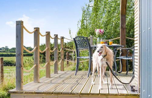 Fferm Fach by Birch Stays - Foto 45