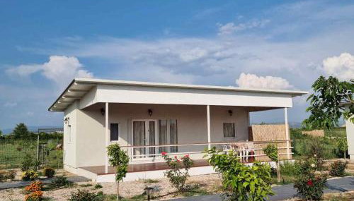 Agroktima Arta - Farm Stay - Foto 4