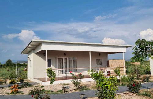 Agroktima Arta - Farm Stay - Foto 4