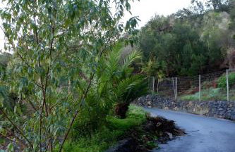 Complejo Rural Pajar de Bento - Foto 6