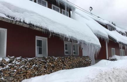 Romantisches Schwarzwaldhaus - Foto 4