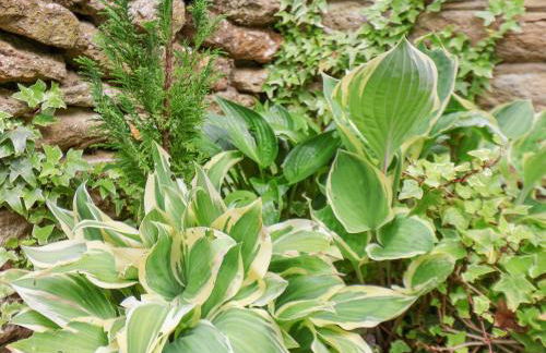 The Nail Shed - Foto 36