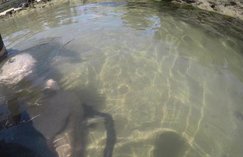 Apartamento Taiba Kite Beach Vista Mar - Foto 17