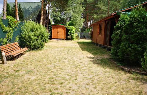 domki domek na jeziorem Wilczyńskim Budzisławskim , las, osobno ogrodzony 2-6 osób- klimatyzacja, ogrzewanie, 62-550 Zygmuntowo gm Wilczyn - Foto 20