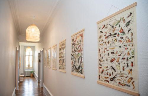 Château Robert - Foto 53