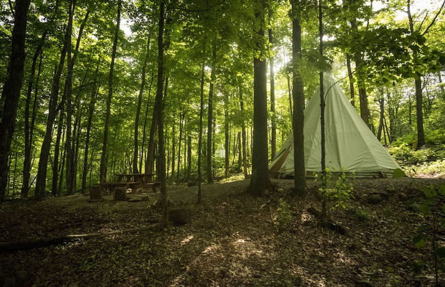 Parc Omega - Foto 10