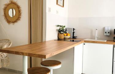 Studio double climatisé avec terrasse - Proche Tram & Centre - Foto 20