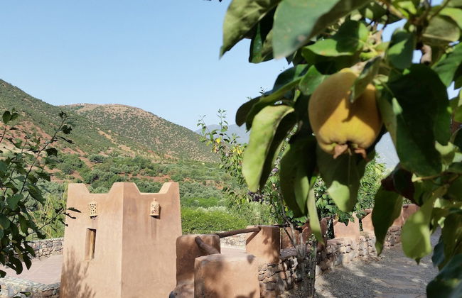 Kasbah Africa - Foto 67