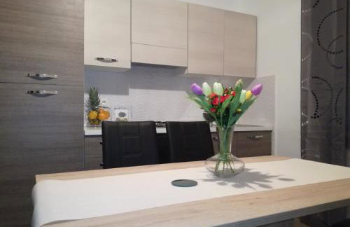 Apartment Ivan - Photo 36