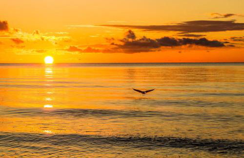 Villa La Cigale - Foto 30