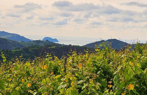 ARBELA Apartamentuak - Foto 24