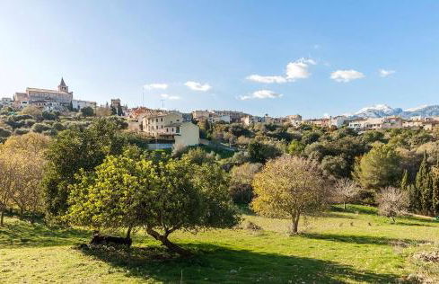 Villa - Sun and Moutain, Sa Murtera - Foto 39