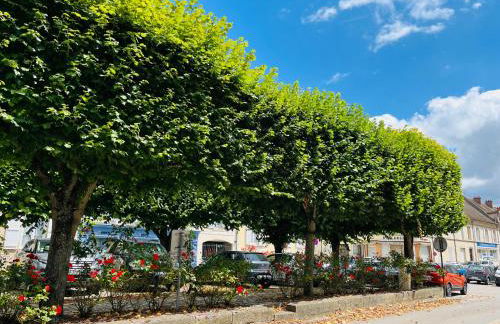 Nouveau ! Place Gambetta superbe 2 pièces avec cour ensoleillée - Foto 12
