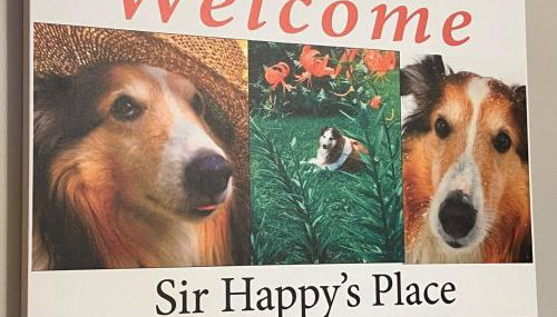 Sir Happy's Place - Foto 3