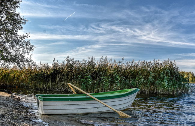 Skarlinówka - Foto 38