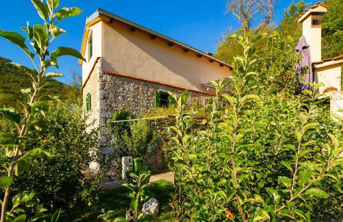 Woodland Retreat - Foto 21