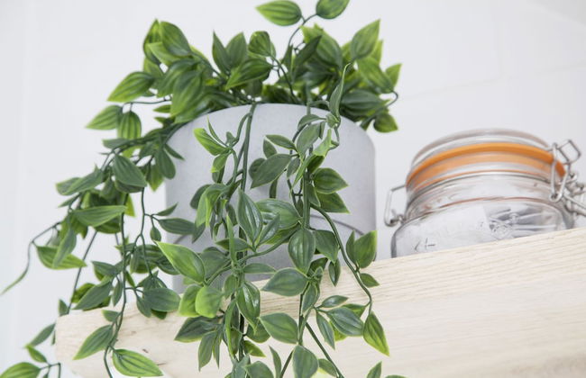 Barber Shop Flat - Photo 17