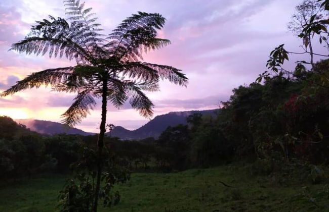 Mindo Eco chalet - Foto 39