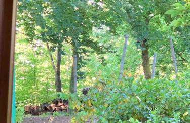 Cozy Chalet in Castell'Arquato 90 m² with Private Pool - Foto 67