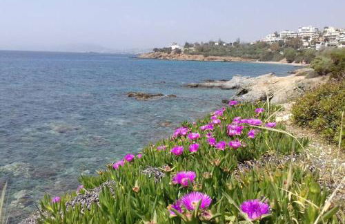 Waterfront Penthouse - Photo 29