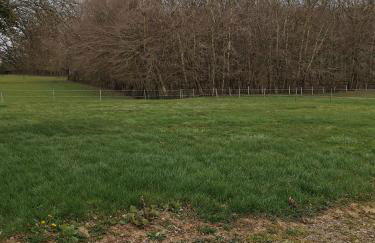 La petite maison en Puisaye - Foto 3