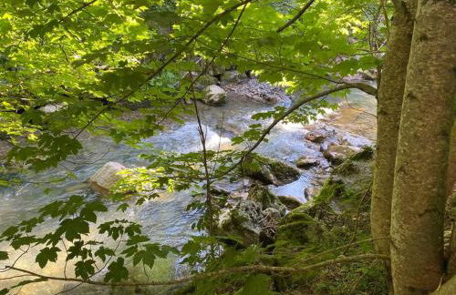Chalet Le Saint Bernard - Sauna - Alp'in C - Châtel - Foto 25