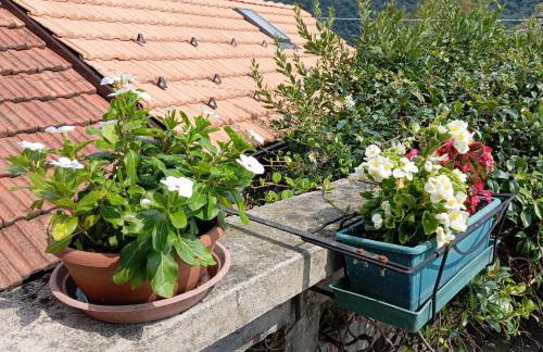 Low-mountain house with terrace and garden, near Lake Maggiore - Foto 28