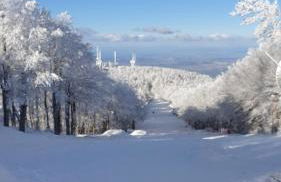 I Due Ciliegi - Foto 47