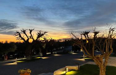 Relais Agriturismo Casina Ricchi - Photo 10