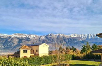 Green Paradise - Foto 21