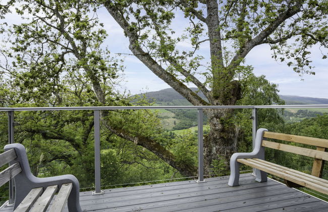 Achmony Green - Foto 2