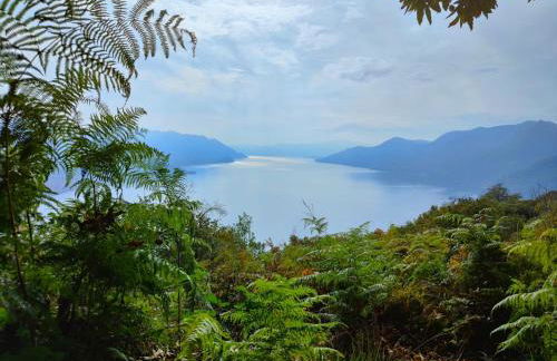 Gemütliche Ferienwohnung in Agra - Foto 5