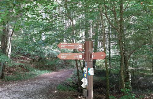 Ferienhaus Chalet Cottage Ourtalblick 2km von Vianden-Lux - Foto 21