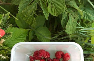 Chez Georges - Maison 3 - les Gîtes du Verdon - Foto 26