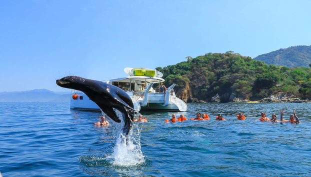 Cruising through Banderas Bay