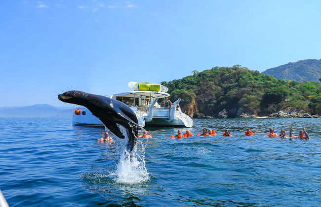 Minicrociera nella baia di Banderas - Foto 1