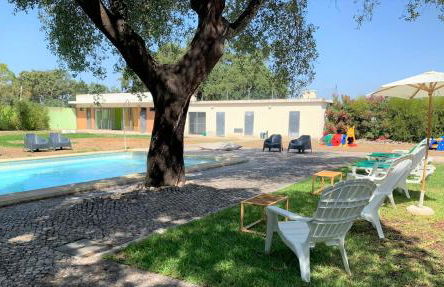 Amazonia Palmela Apartamentos Turísticos - Foto 39