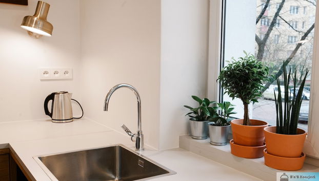 Cocina básica privada