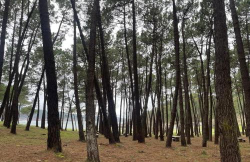 Grupo Gontad Apartamento Mourelle Corme - Foto 16