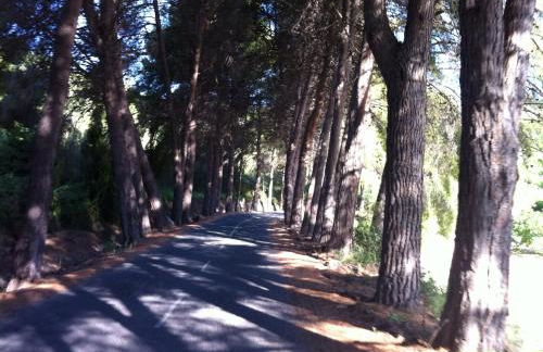 El Salat, alojamientos rurales - Photo 46