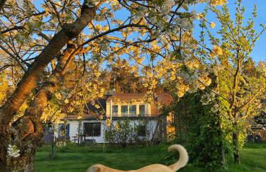 Meridiamus 1 - Ferienhäuschen in Boddennähe - Foto 10