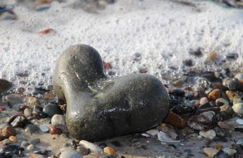 Fiskerhytte - Meine Fischerhütte - Foto 28