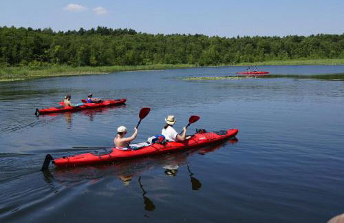 Ferienwohnung 1 - Foto 24