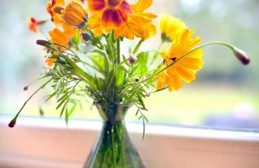 Sissinghurst Stables A comfortable country home in the Garden of England and just one hour from London - Foto 9